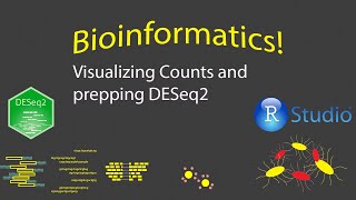 Bioinformatics  Visualizing Counts Data [upl. by Mosi]