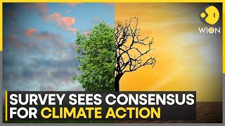 4 in 5 people want more action against climate change UN survey  Latest English News  WION [upl. by Beverlee]