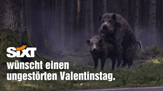 SIXT wünscht einen ungestörten Valentinstag 🧡  Valentinstag 2022 [upl. by Lippold]