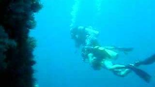 San Miguel Island Diving [upl. by Arnuad]