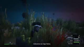 Gta Online Cayo Perico heist mit ein Freund [upl. by Anas]