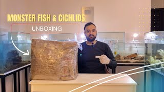 Unboxing New Fish Monster Fish and Cichlids [upl. by Arykahs]