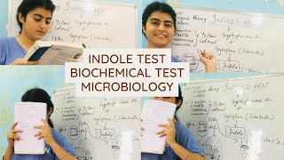 Indole test biochemical test in microbiology  Principle  procedure and result [upl. by Nnaeiluj467]