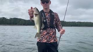 Clarks Hill Bass With Evan Beard [upl. by Aehtrod]