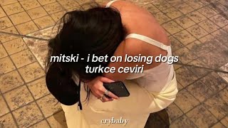 mitski  i bet on losing dogs turkce ceviri [upl. by Ahsilat]