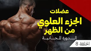 عضلات الجزء العلوي من الظهر  دورة كيف تبني عضلاتك بأسرع وقت الحلقة 8 [upl. by Glynis992]