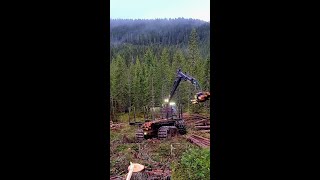 JOHN DEERE forwarder loading Timelapse [upl. by Yelsna562]