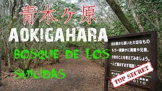 Aokigahara Jukai documental HD [upl. by Truc]