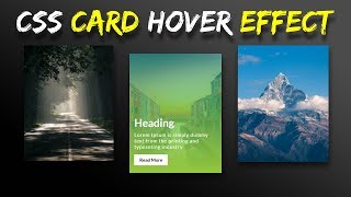 CSS Card Hover Effects  Html CSS [upl. by Elnore51]