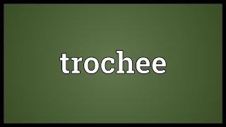 Trochee Meaning [upl. by Troy884]