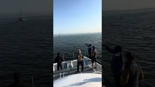 Boat tour of Walvis Bay Namibia 🇳🇦 [upl. by Valaree]