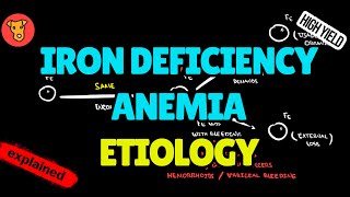 IRON DEFICIENCY ANEMIA Etiology [upl. by Thun328]