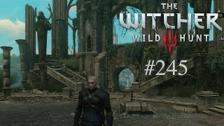 Lets Play The Witcher 3 245 Deutsch Full HD  Das verfluchte Amphitheater [upl. by Ulda708]