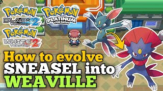 How to evolve Sneasel in Pokemon Platinum Black amp White Black 2 amp White 2 [upl. by Norvell]