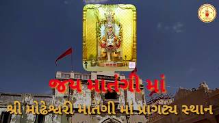 Matangi Maa Ni Samuh Aarti માતંગી માં ની સમૂહ આરતી [upl. by Ocram497]