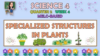 SCIENCE 4  QUARTER 2 WEEK 4  SPECIALIZED STRUCTURES IN PLANTS  MELCBASED [upl. by Anaitsirk759]