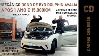 BYD Dolphin  15000 km de puro suco de Brasil deixaram marcas no Chinês [upl. by Liebowitz]