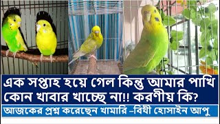 পাখি খাচ্ছে না কি করবো ll Its been a week but my bird is not eating any food llFarmer Bithi Hossain [upl. by Eiuqnom]