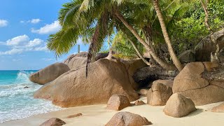 Exploring the amazing Praslin Island Seychelles  What to do on Praslin Island [upl. by Zorah787]