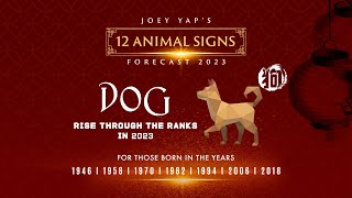 2023 Animal Signs Forecast Dog Joey Yap [upl. by Atnad]