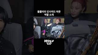 울플러 인사이드 아웃 역할 공개 wolflo 울플러 [upl. by Ennalorac]