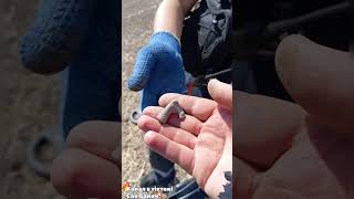 Metal Detector Treasures Found коп металлоискатель [upl. by Puto]