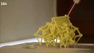 watch an MRIpowered StrandBeest crawl inside a clinical scanner [upl. by Oys387]