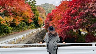 Autumn in Japan [upl. by Saul]