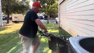 Dethatch raking dead grass and cleaning up my yard trending video viralvideo grass bermuda dog [upl. by Ak727]