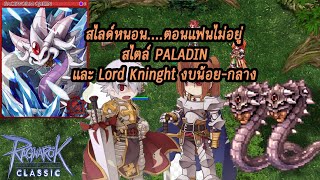 🔴ROC ฟาร์มเลื่อยๆ เหนื่อยก็พัก สไตด์พาราดิน งบน้อยกลาง EP37  Ragnarok Classic [upl. by Ahsenyt]