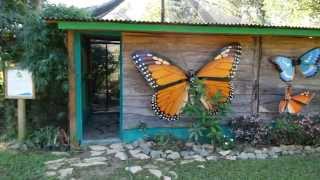 Rancho Baiguate Jarabacoa  Dominican Treasures [upl. by Ardnued]