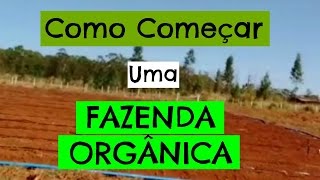 Como Começar uma FAZENDA ORGÂNICA [upl. by Mayfield23]