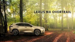 Introducing the new Lexus NX Overtrail [upl. by Nwahsak]