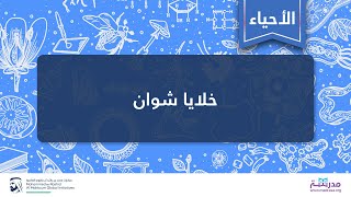 خلايا شوان  الأحياء  فسيولوجيا الجهاز العصبي المتقدمة [upl. by Beka]