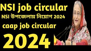 NSI job circular 2024।। jobs in Bangladesh 2024 [upl. by Annahgiel]