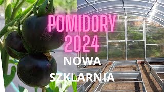 Pomidory  sezon 2024 Nowa szklarnia [upl. by Airotkciv]