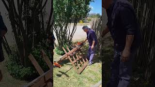 Stihl FS 230 EUGENIO YA LA TIENE [upl. by Riella]