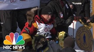 Iditarod Winner Makes History As Oldest Champion  NBC News [upl. by Orimar]