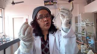 Class 10 Practicals  ACIDS BASES and SALTS Properties of Acids and BasesCBSE MUST WATCH [upl. by Lovich]