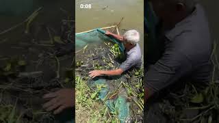 Old Man Fishing 🔥 onceover shortsfeed [upl. by Tice34]