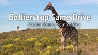 Botlierskop Private Game Reserve  Mossel Bay Garden Route South Africa [upl. by Eph]