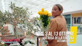 La Rosa della Fortuna  Autumn Edition [upl. by Annonyw]