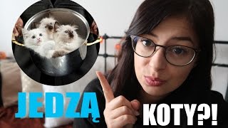 🇨🇭 5 RZECZY KTÓRE DZIWIĄ MNIE W SZWAJCARII  AgnieszkaMP Vlog [upl. by Leziar]