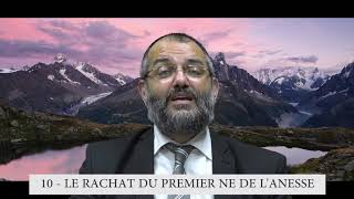 613 Mitsvot  10eme Commandement DE LA TORAH  Rachat du premier né de l’ânesse  Rav Ilan Fitoussi [upl. by Weldon490]