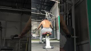 Muscle target rhomboid latissimus dorsi and biceps  trapezius follow like shorts fitness gym [upl. by Seravaj]