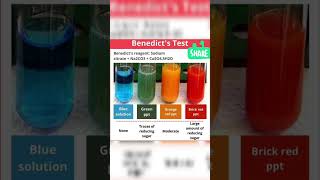 Benedicts Testshorts shortsvideo viralshorts chemistrymagic chemistrylab sciencetrivia [upl. by Roth]