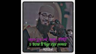 অনেক দুঃখ কষ্ট আছেন প্রতিদিন এ ওয়াজ টি শুনুন নতুন লেকচার Abrarul Haque Asif [upl. by Munford]