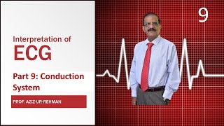 ECG Part 9 Conduction System [upl. by Chantal810]