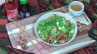 Čínské nudle Hoisin s kuřecím masem  Asijské recepty 🍜🥢 [upl. by Wendalyn]