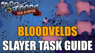 Bloodvelds Slayer Task Guide  Old School RuneScape [upl. by Kev642]